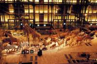 Grande galerie de l'évolution - Muséum d'Histoire Naturelle de Paris